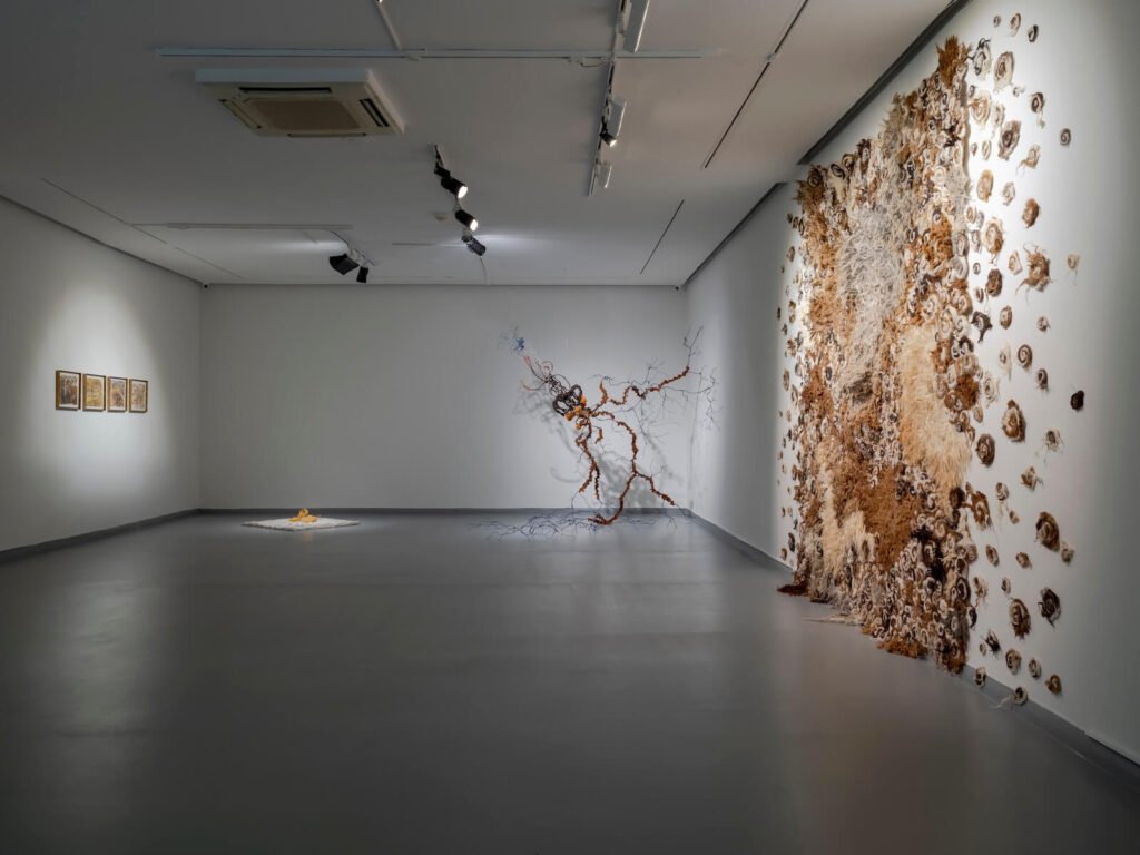 Zilberman İstanbul Unfold'26 İlişki Alanları sergisi